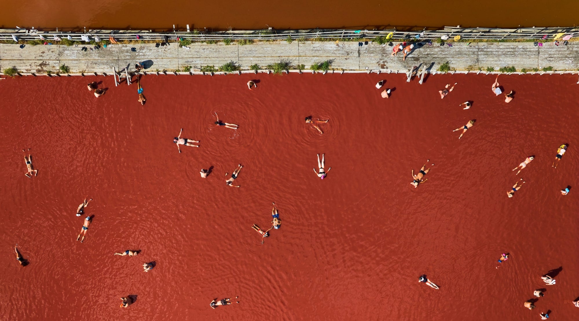 Photography Competition 2024, Critics Choice 2024 Awards.