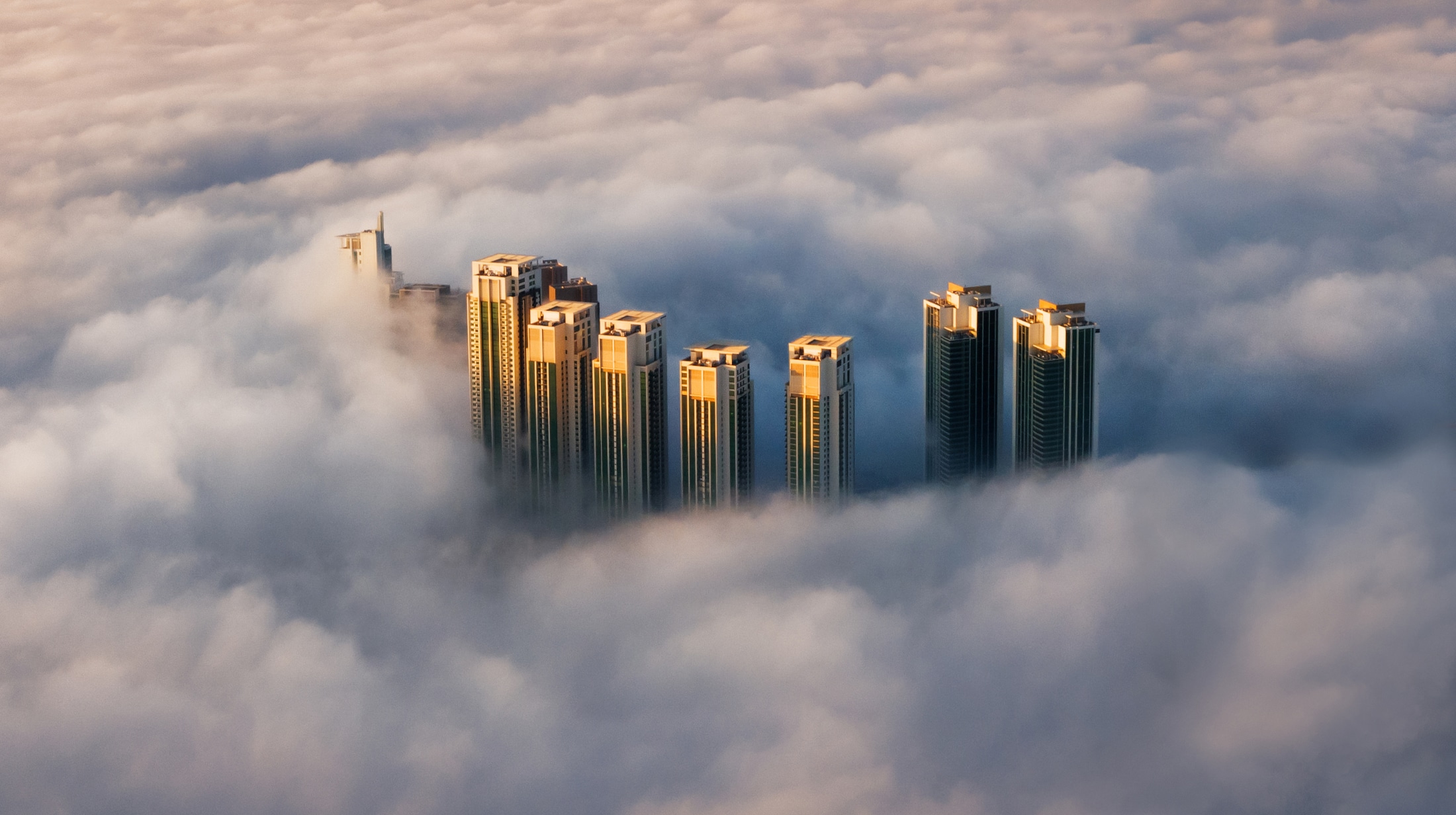 Critics’ Choice 2025 – Competition Gallery