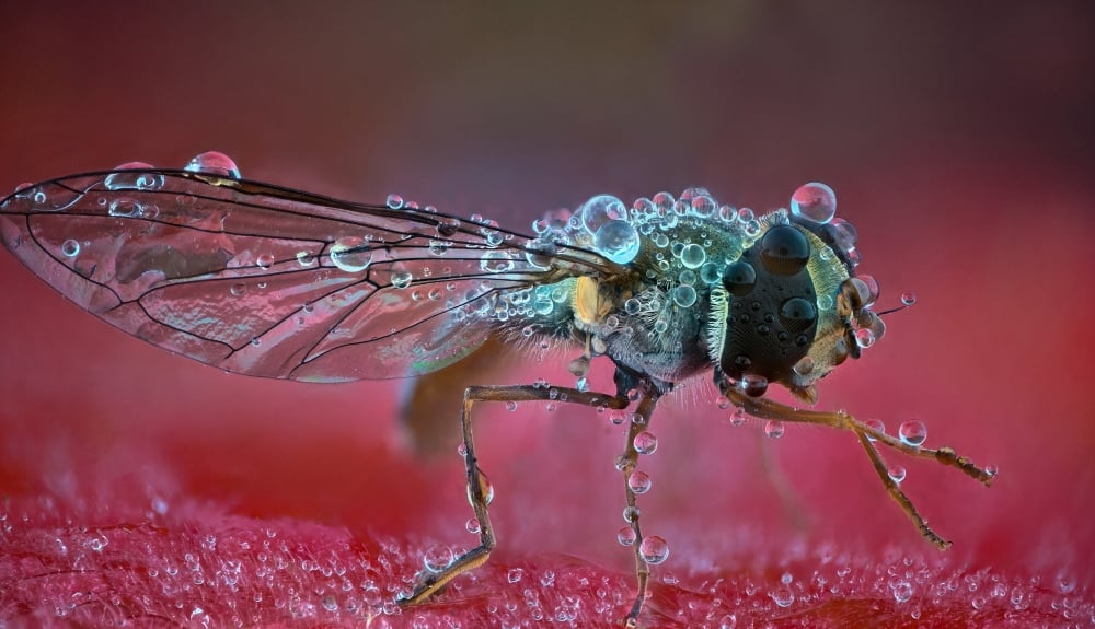 LensCulture Art Photography Awards 2024 - Competition Gallery