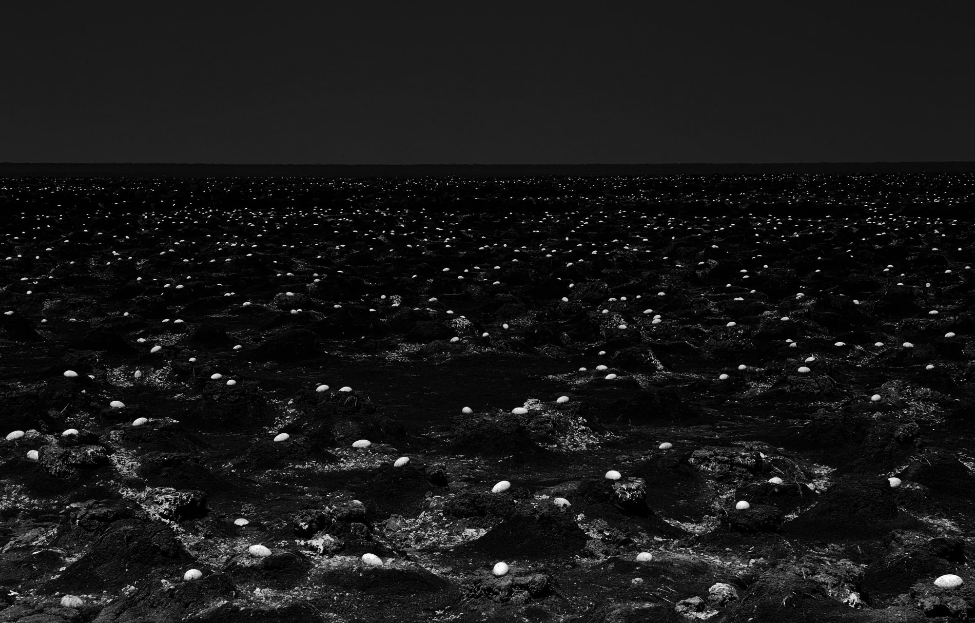 Black & White Photography Awards 2023 – Photography Competition