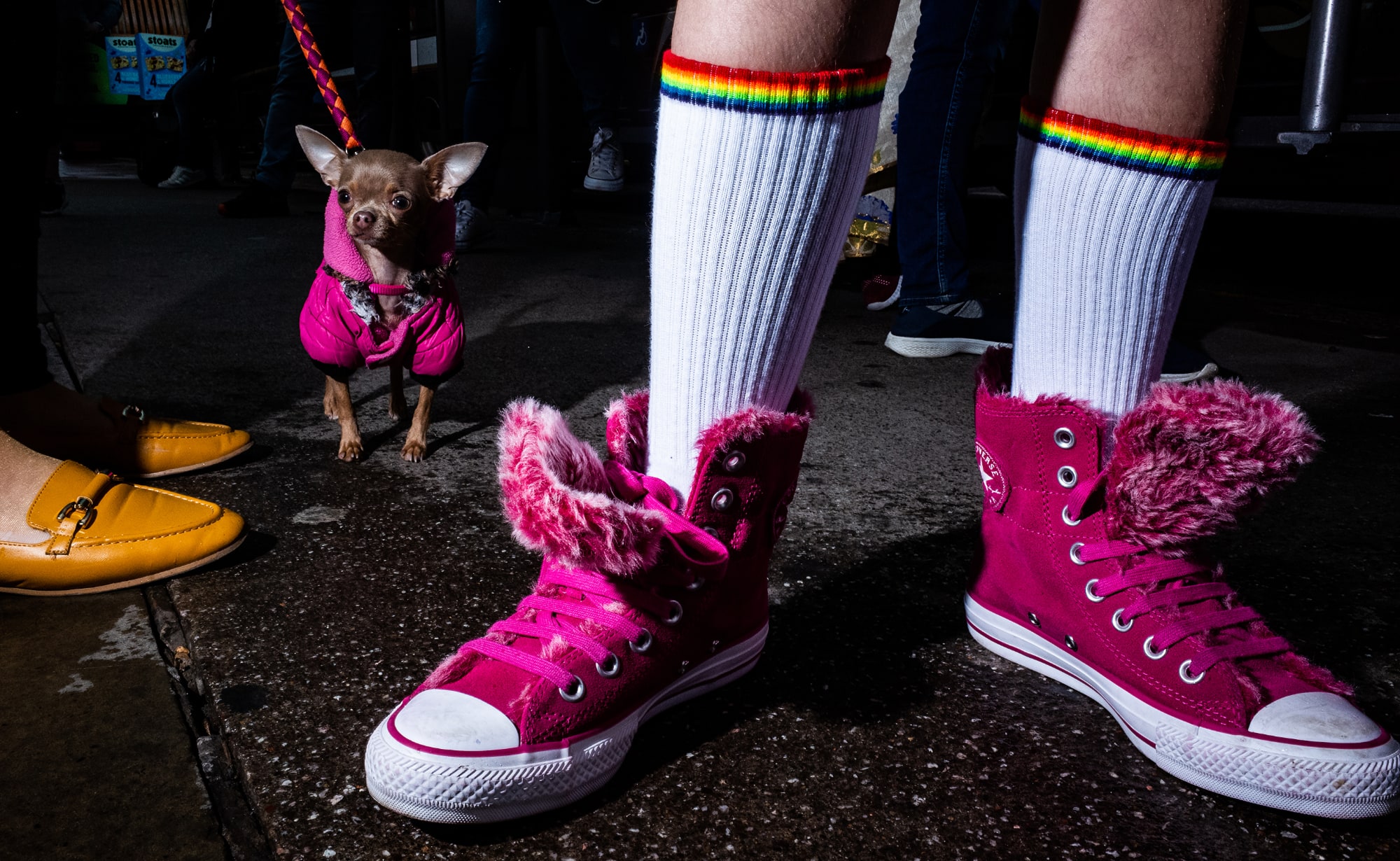 Photography Competitions 2024 Awards