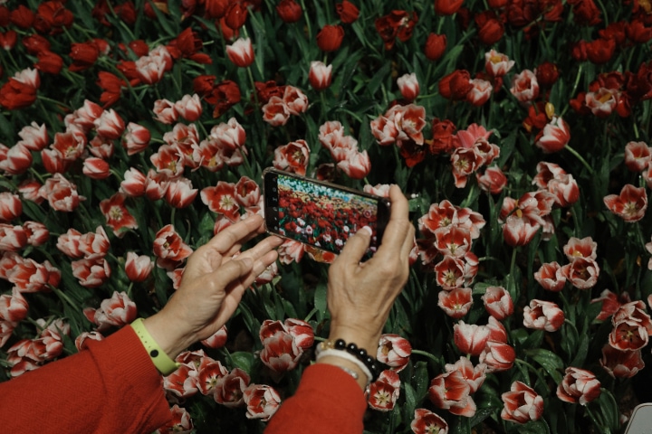 Photography Awards 2024